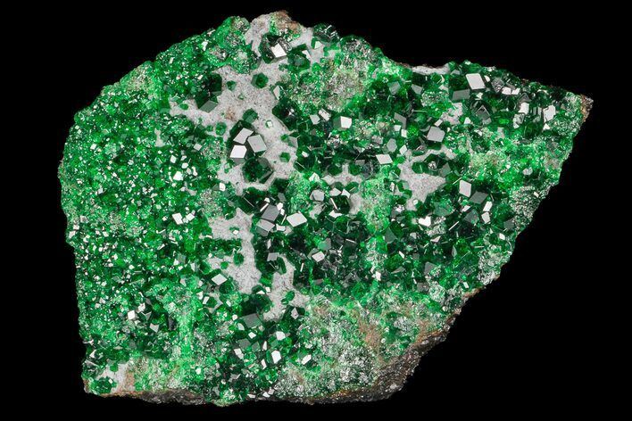 Spectacular, Green Uvarovite (Garnet Group) - Russia #175608